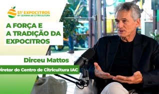 Diretor do Centro de Citricultura IAC