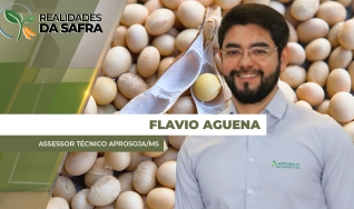 Flavio Aguena - Assessor Técnico Aprosoja/MS