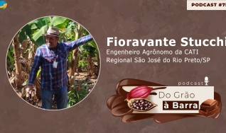 Do Grão à Barra