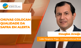 Douglas Araújo - Líder Negócio Trigo - CJ International Brasil.