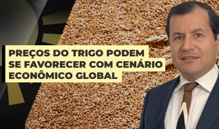 Douglas Araujo - Diretor da PRTK Consultoria