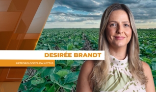 Desirée Brandt - Meteorologista da Nottus