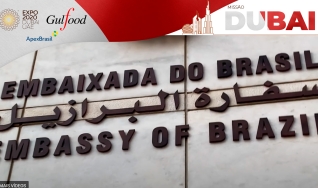 Missão Dubai, segunda reportagem