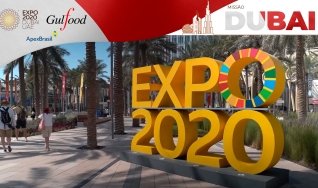 Missão Dubai - Quarta reportagem