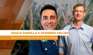 Paulo Garollo e Evandro Keller - Esp. na Cultura do Milho e Dir. Comercial Openeem