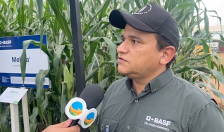 Dyogo Castro - Desenvolvimento de Tecnologia da BASF