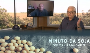 Tempo  & Dinheiro - Minuto da Soja, com Vlamir Brandalizze