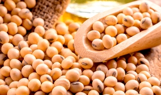 Paulo Assunção - Consultor Agronômico