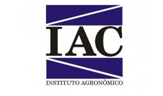Marcos Guimarães de Andrade Landell - Diretor-geral do Instituto Agronômico (IAC)