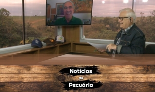 Tempo  & Dinheiro - Notícias da Pecuária, com Sérgio Braga