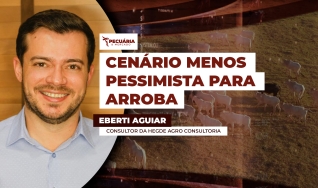 Eberti Aguiar - Consultor da Hegde Agro Consultoria