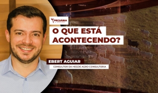 Eberti Aguiar - Consultor da Hegde Agro Consultoria