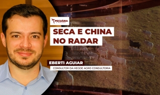 Eberti Aguiar - Consultor da Hegde Agro Consultoria