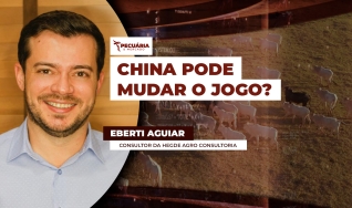 Eberti Aguiar - Consultor da Hegde Agro Consultoria