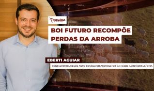 Eberti Aguiar - Consultor da Hegde Agro Consultoria