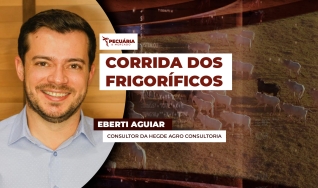 Eberti Aguiar - Consultor da Hegde Agro Consultoria