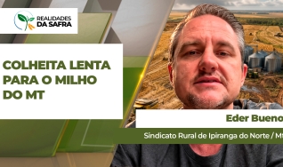 Eder Bueno - Sindicato Rural de Ipiranga do Norte / Mt