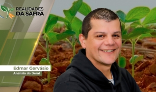 Edmar Gervásio - Analista do Deral