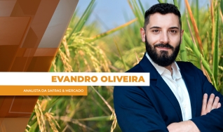 Evandro Oliveira - Analista da Safras & Mercado