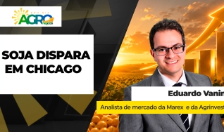 Eduardo Vanin