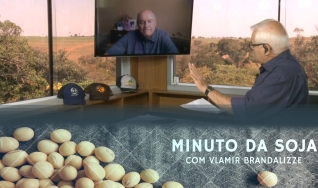 Tempo  & Dinheiro - Minuto da Soja, com Vlamir Brandalizze