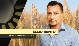 Élcio Bento - Analista da Safras & Mercado