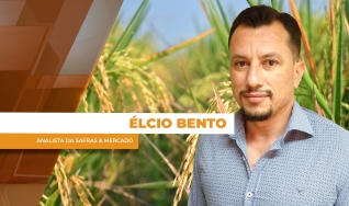 Élcio Bento - Analista da Safras & Mercado