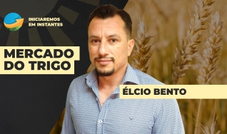 Élcio Bento