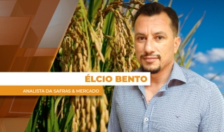 Élcio Bento - Analista da Safras & Mercado
