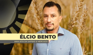 Élcio Bento