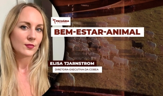 Elisa Tjarnstrom - Diretora-Executiva da COBEA