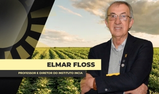 Elmar Floss - Professor e Diretor do Instituto Incia