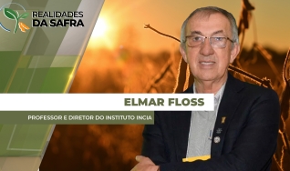 Elmar Floss - Professor e Diretor do Instituto Incia