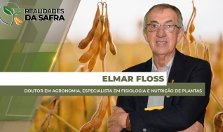 Elmar Floss - Doutor em Agronomia, especialista em fisiologia e nutrição de plantas