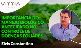 Confira a palestra de Elvis Constantino