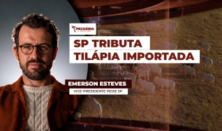 Emerson Esteves - Vice-Presidente Peixe SP