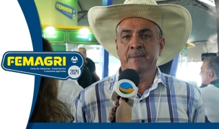 Emidinho Madeira, Deputado Federal