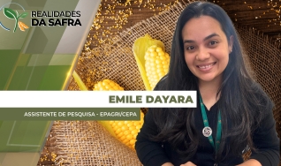Emile Dayara Rabelo Santana - Assistente de Pesquisa - Epagri/Cepa