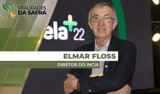 Elmar Floss - Professor e Diretor do Instituto Incia