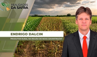 Endrigo Dalcin