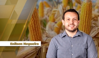 Enilson Nogueira - Analista da Céleres Consultoria