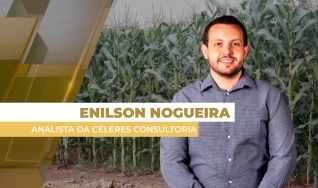 Enilson Nogueira - Analista da Céleres Consultoria