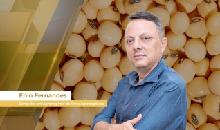 Ênio Fernandes - Consultor em Agronegócio da Terra Agronegócios