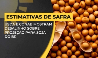 Marcos Fava Neves - Prof. Dr. de Agronegócios da USP e FGV