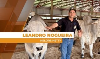 Leandro Nogueira, representante comercial da Nelore Hetty