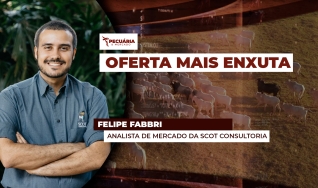 Felipe Fabbri - Analista de Mercado da Scot Consultoria