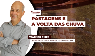 Wagner Pires - Especialista em Manejo de Pastagem
