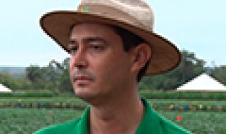 Nédio Tormen - Diretor  Técnico do Centro Norte - Grupo Phytus