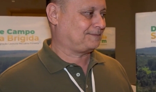 João Pontes