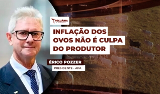 Érico Pozzer - Presidente - APA